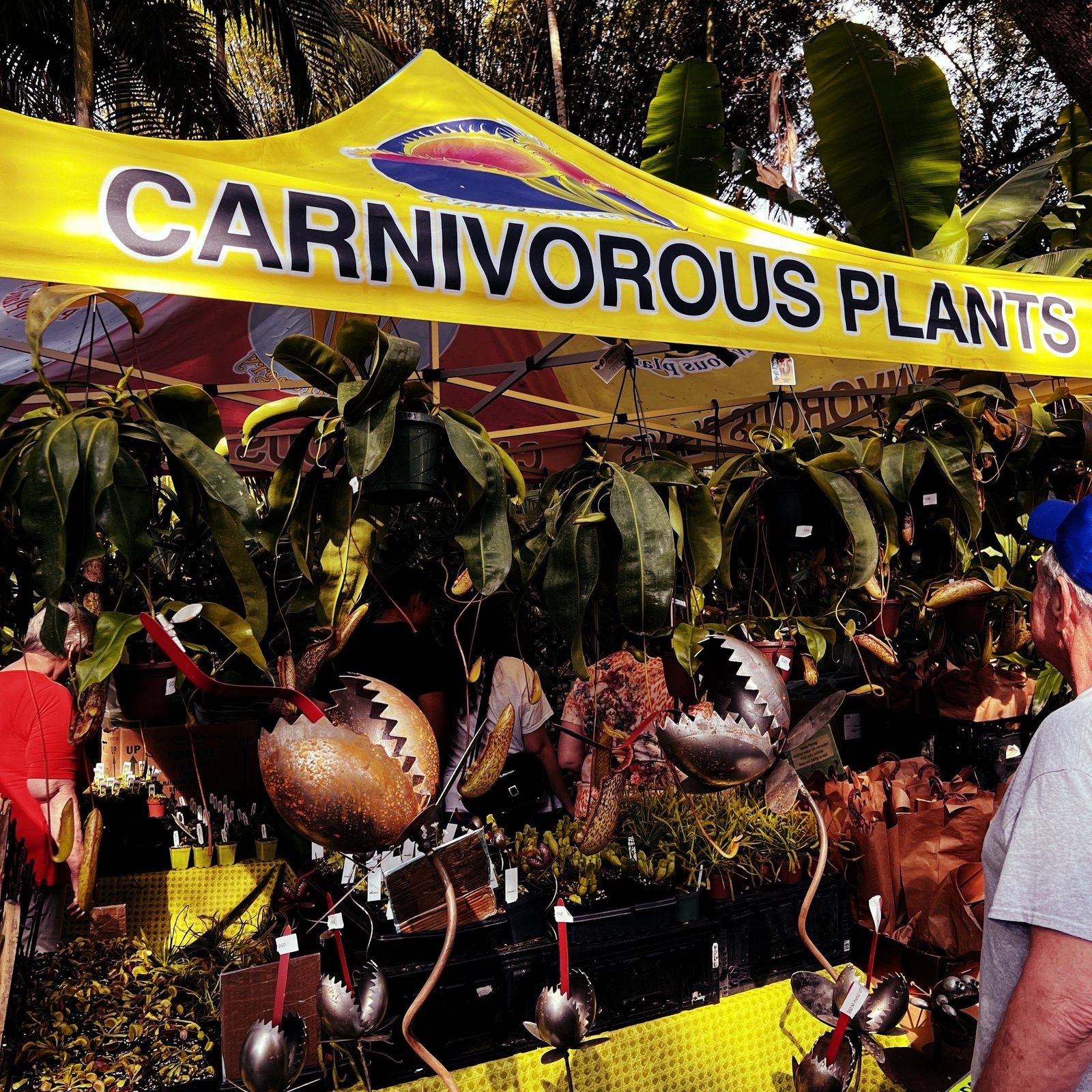 A vendor tent at a plant show with the text CARNIVOROUS PLANTS on top and said plants below it